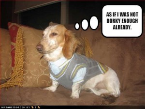funny-dog-pictures-dorky-already