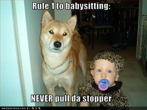 funny-dog-pictures-rule-babysitting