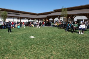 Blacksburg Farmers Market